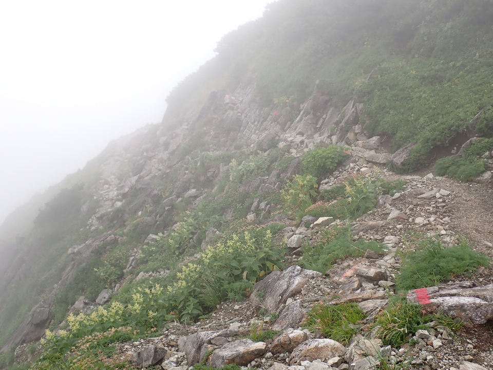 P8262639_mid.jpg
