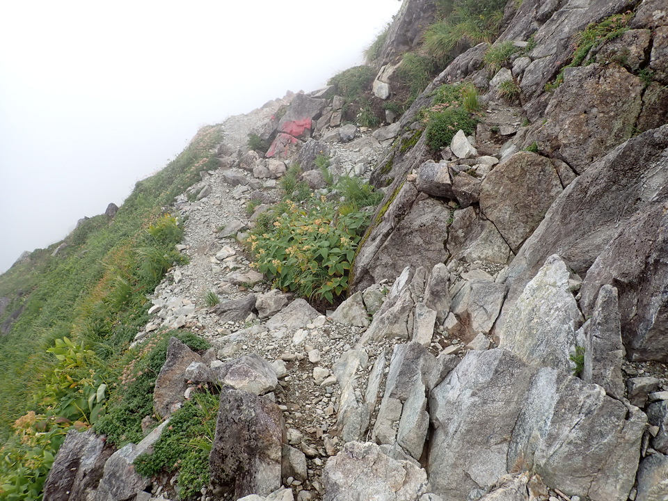 P8262641_mid.jpg