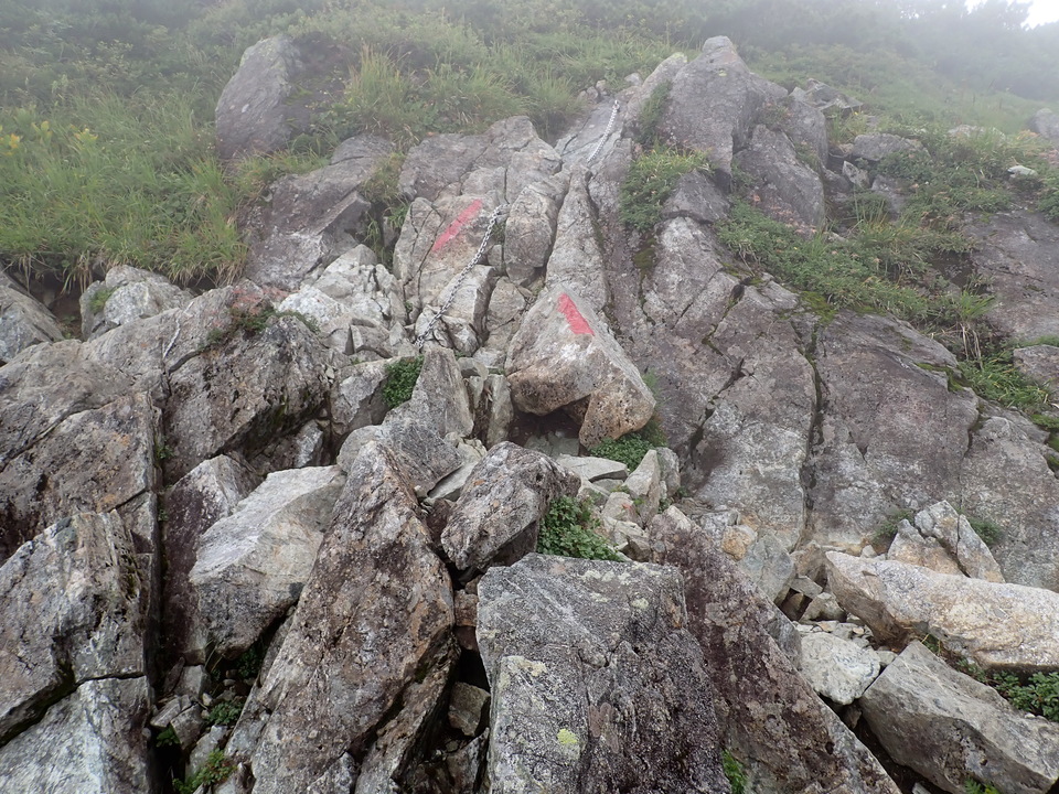 P8262642_mid.jpg