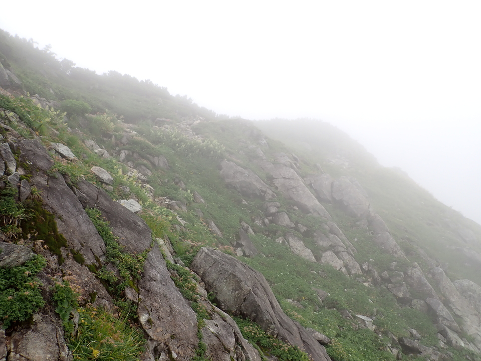 P8262643_mid.jpg