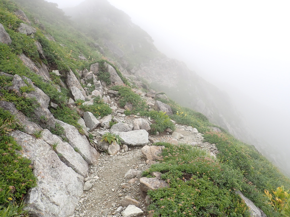 P8262648_mid.jpg