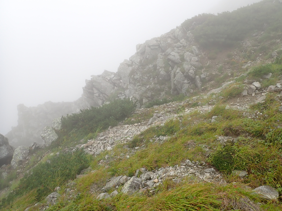 P8262657_mid.jpg
