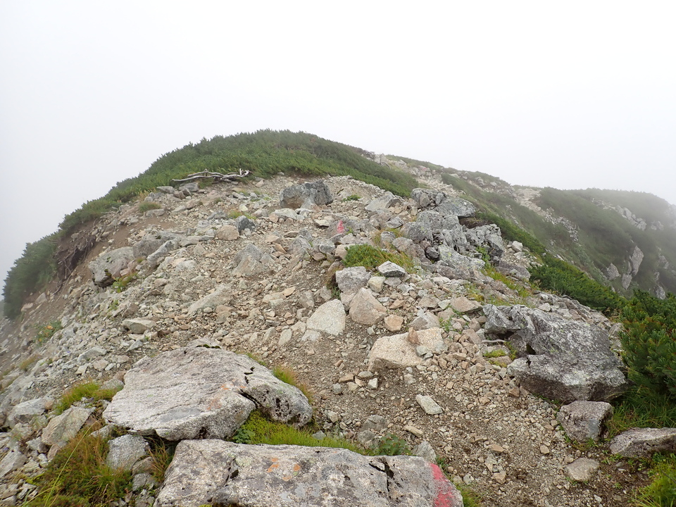 P8262658_mid.jpg