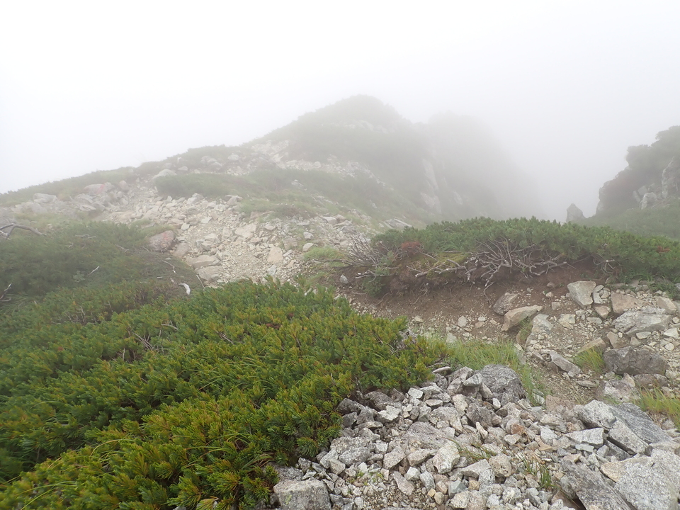 P8262660_mid.jpg