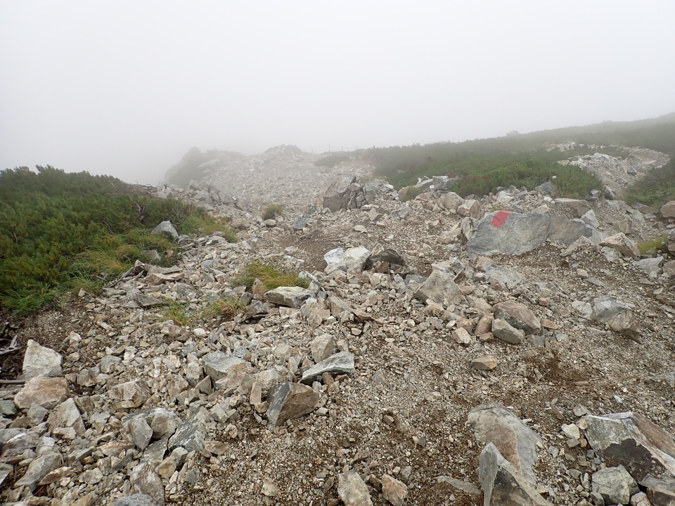 P8262669_mid.jpg