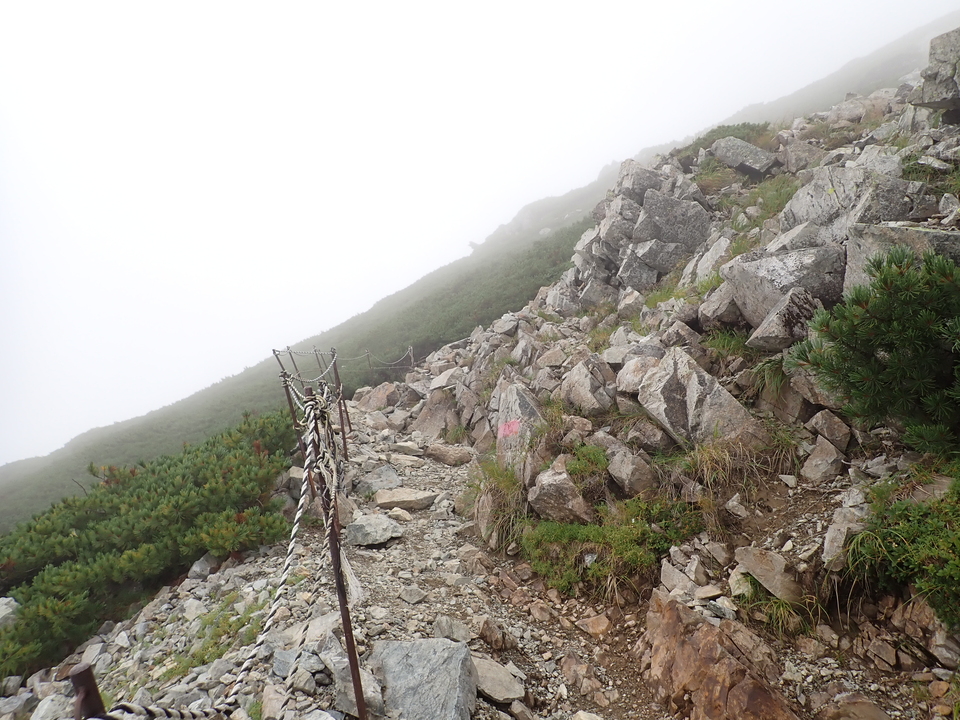 P8262674_mid.jpg