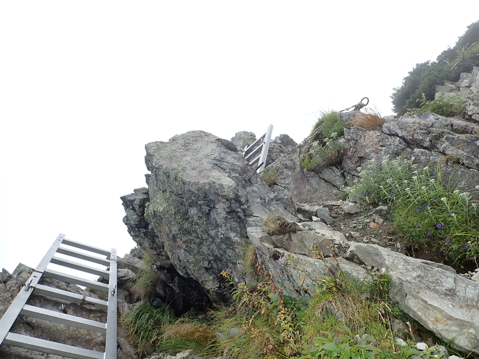 P8262676_mid.jpg