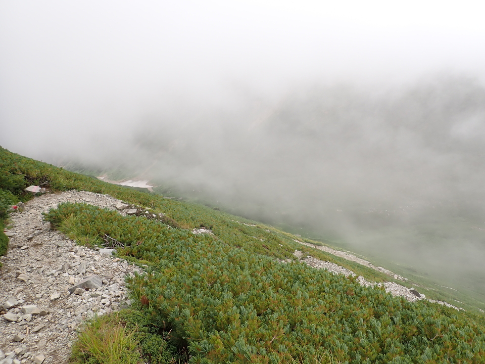 P8262694_mid.jpg