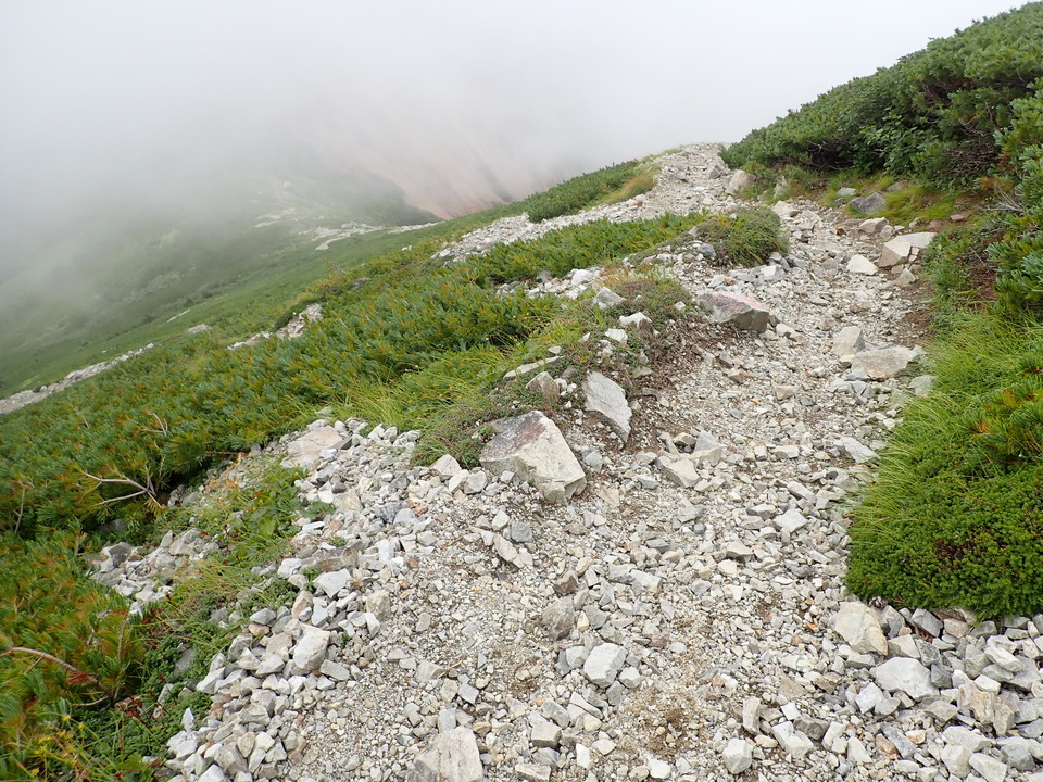 P8262696_mid.jpg