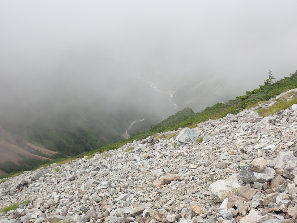 P8262699_mid.jpg