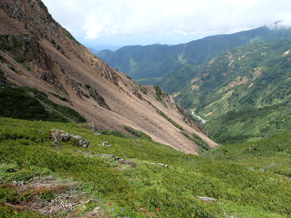 P8262713_mid.jpg