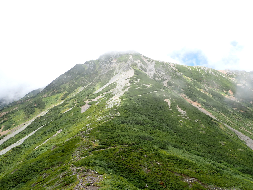 P8262718_mid.jpg