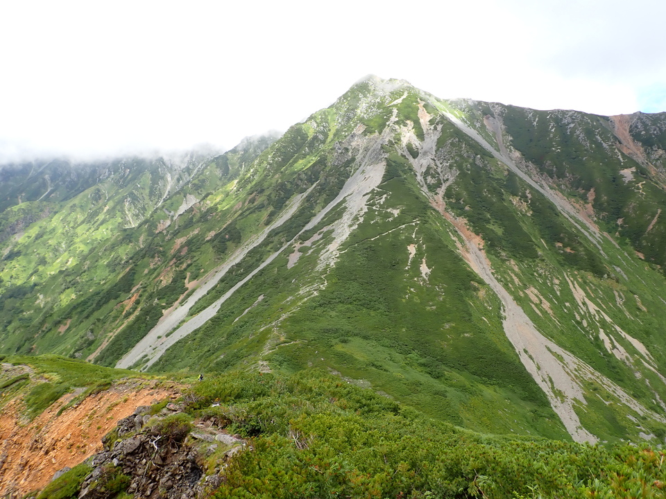 P8262725_mid.jpg