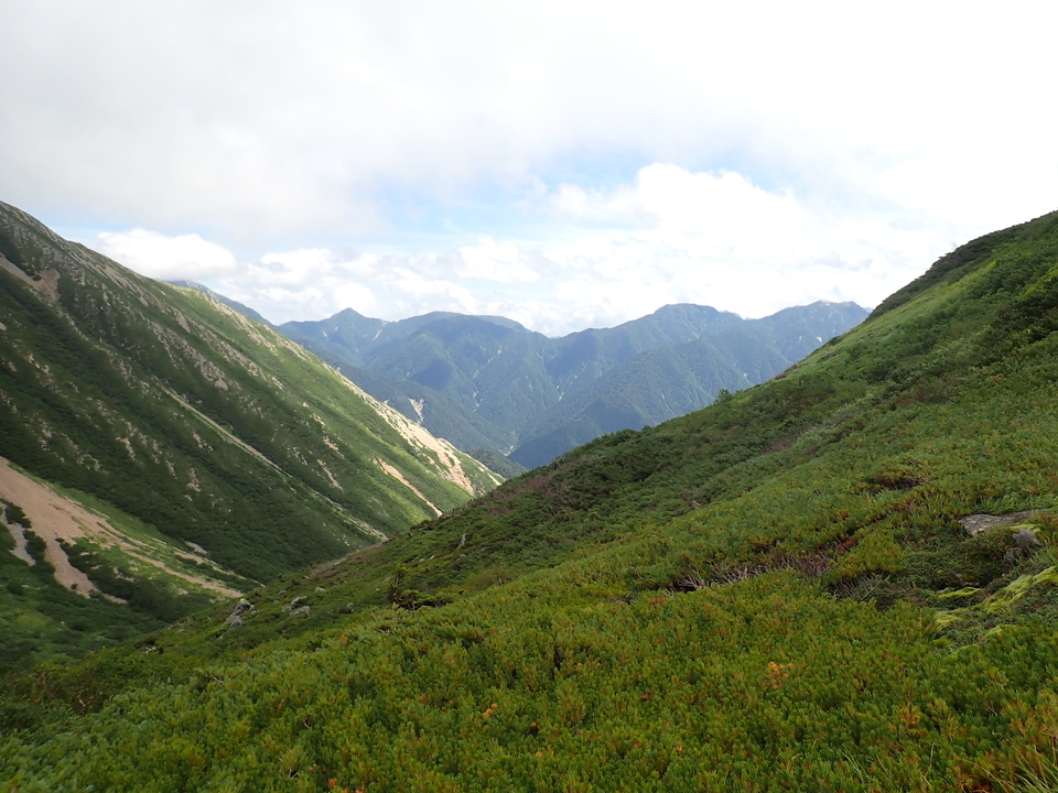 P8262728_mid.jpg