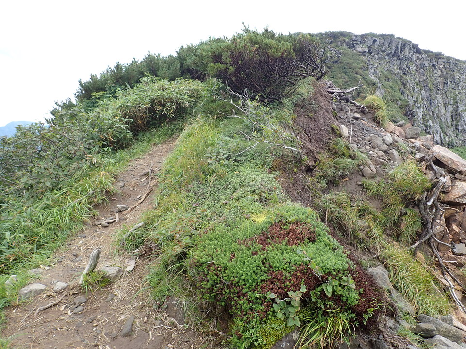 P8262732_mid.jpg
