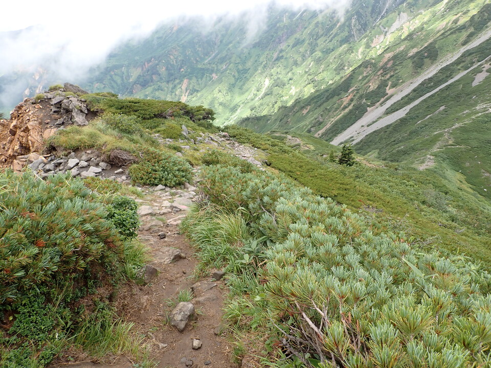 P8262733_mid.jpg
