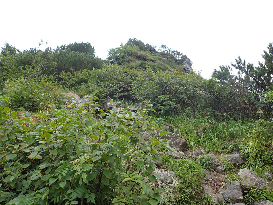 P8262734_mid.jpg
