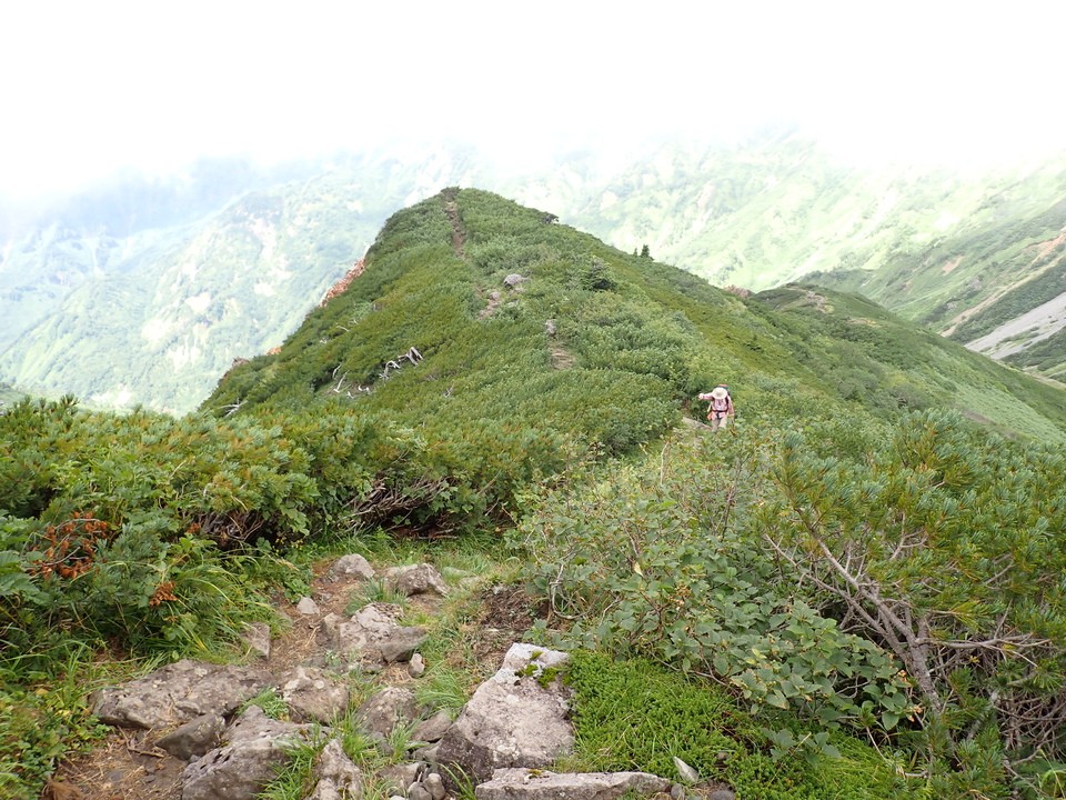 P8262735_mid.jpg
