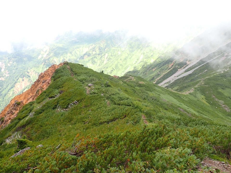 P8262737_mid.jpg