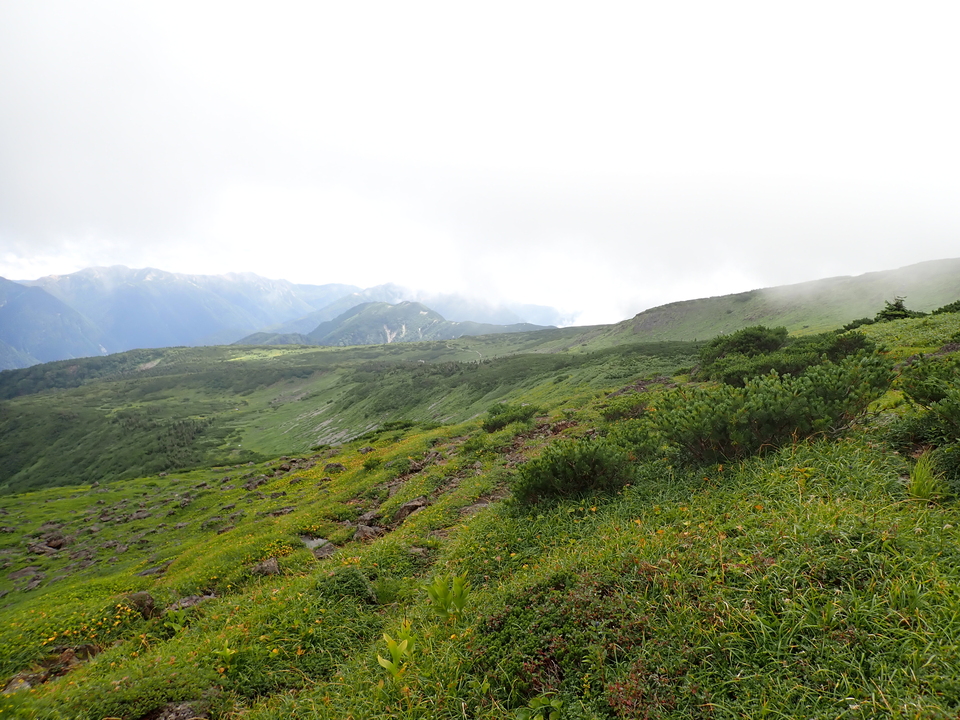 P8262744_mid.jpg