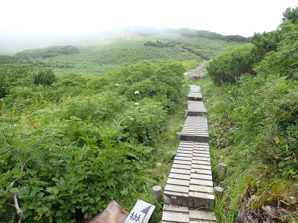 P8262746_mid.jpg