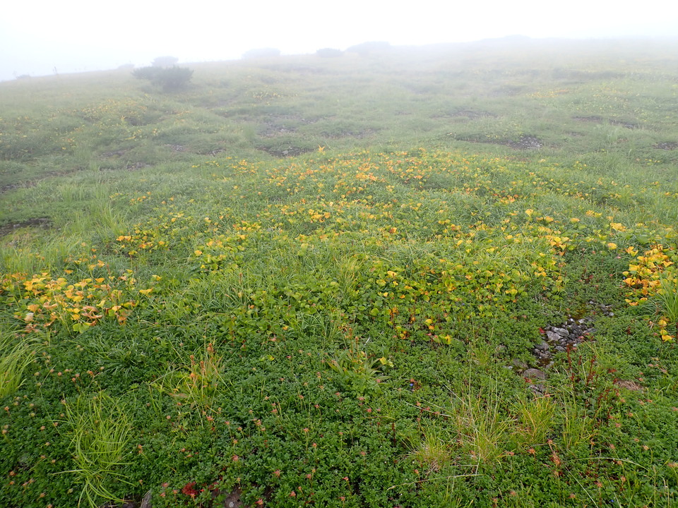 P8262750_mid.jpg