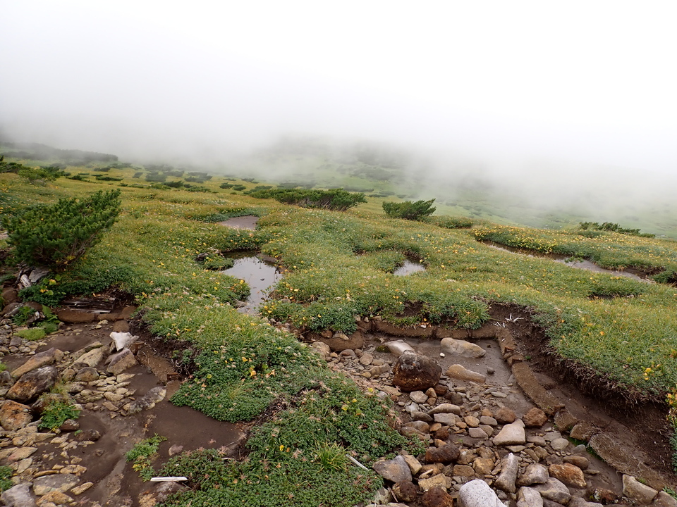 P8262761_mid.jpg