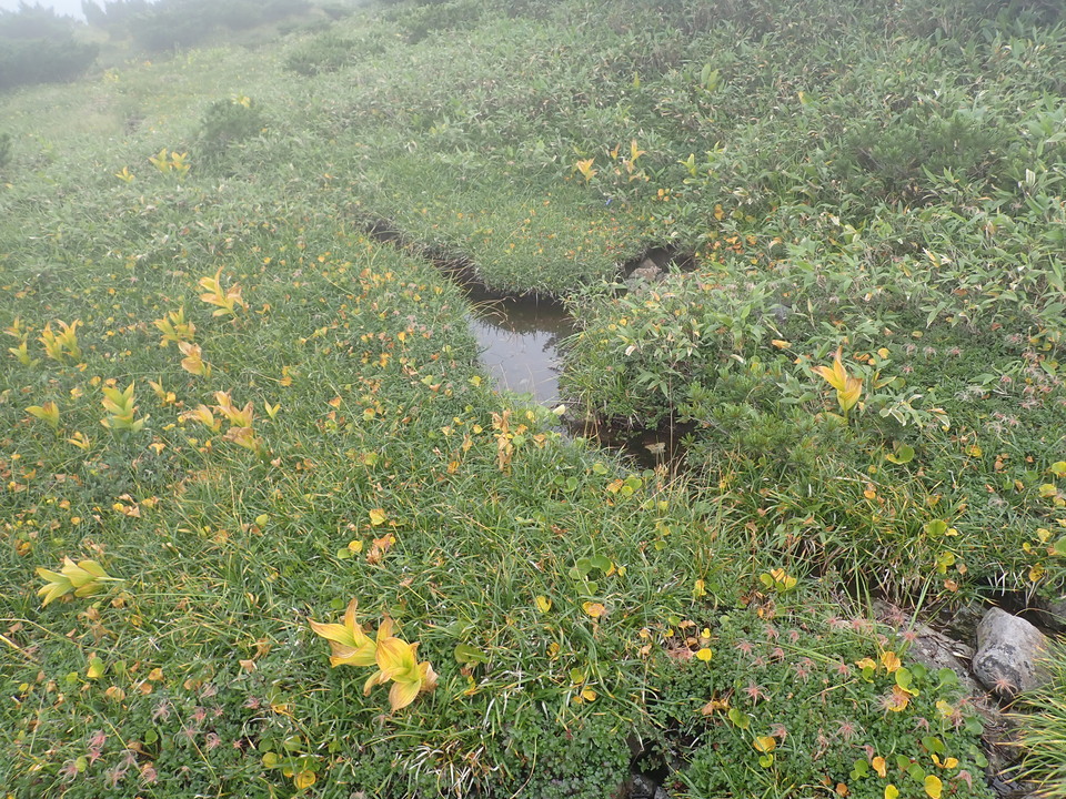 P8262766_mid.jpg