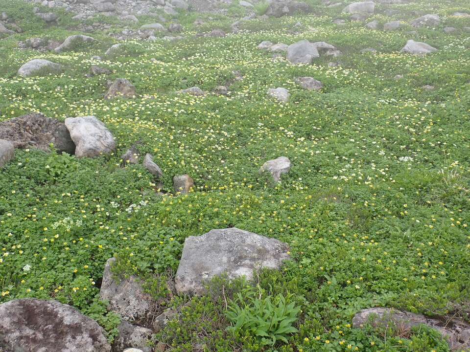 P8262770_mid.jpg