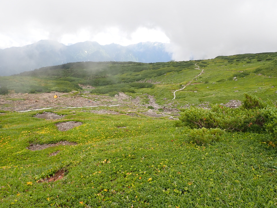P8262772_mid.jpg