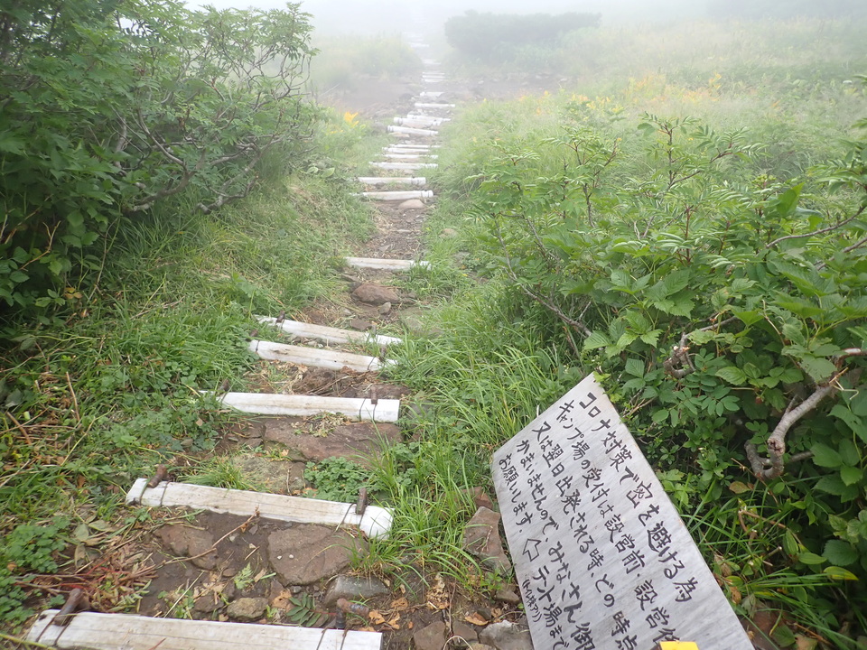P8262791_mid.jpg