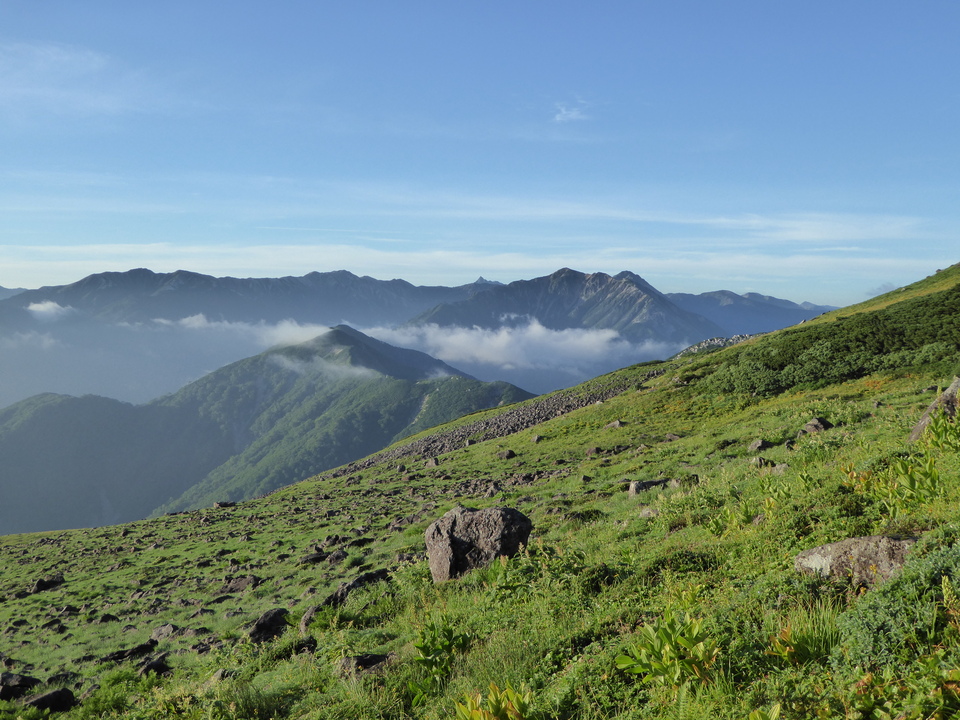 P1020974_mid.jpg