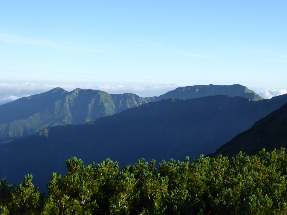 P1020990_mid.jpg