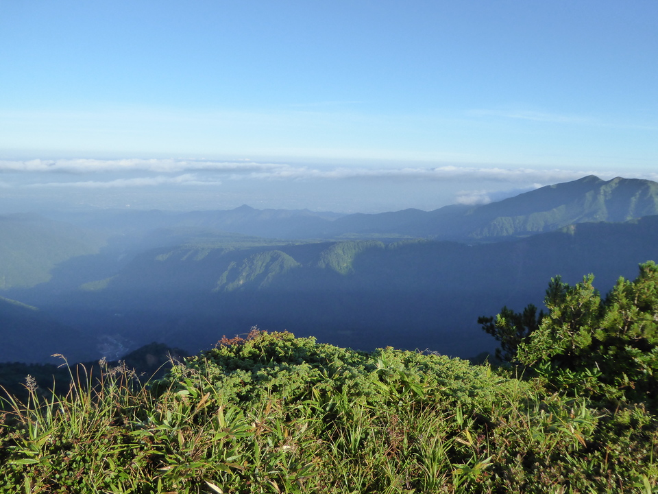 P1020993_mid.jpg