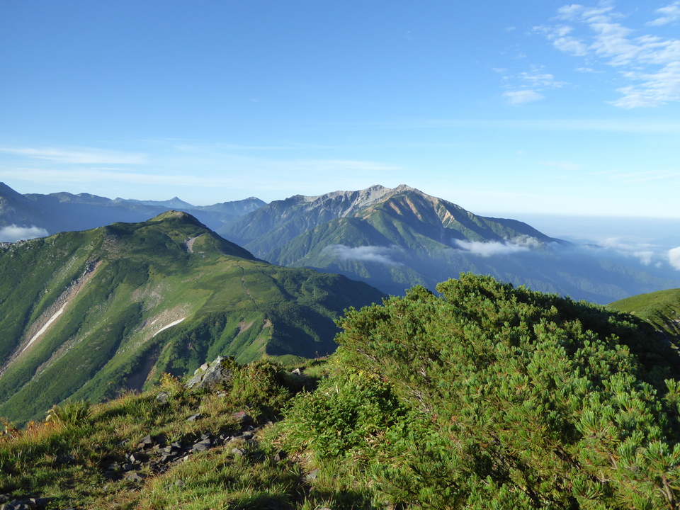 P1020996_mid.jpg