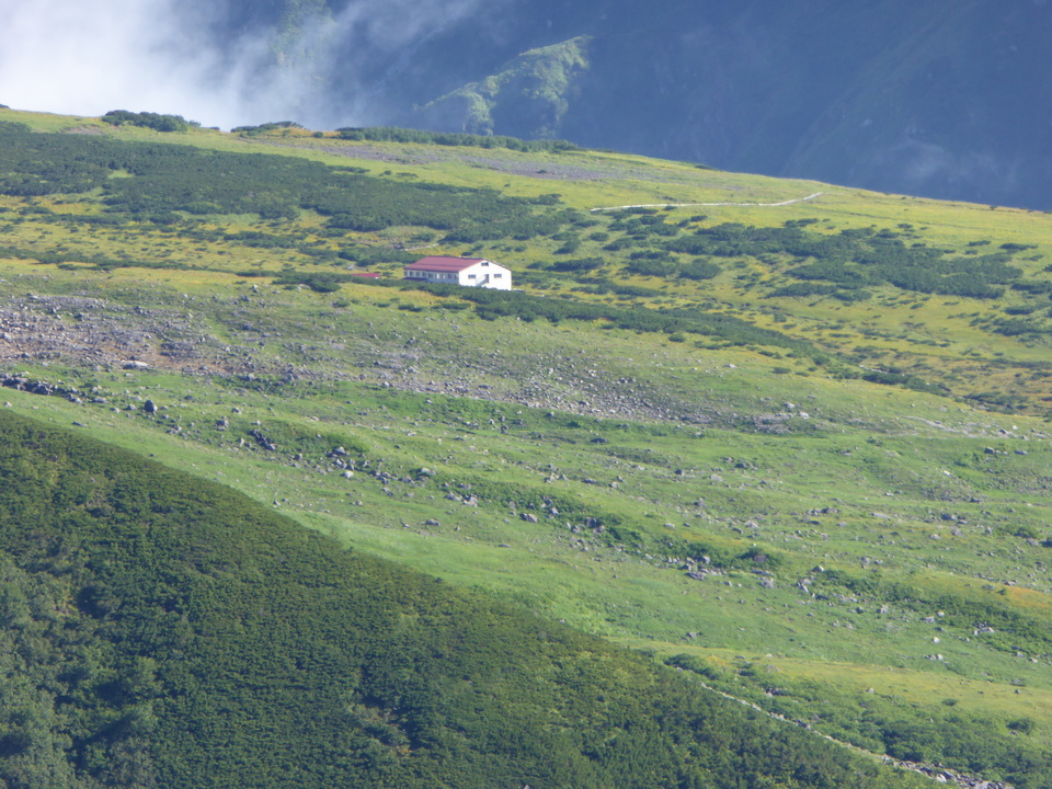 P1030008_mid.jpg