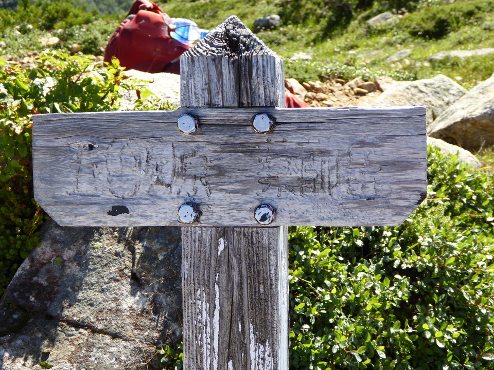 P1030020_mid.jpg