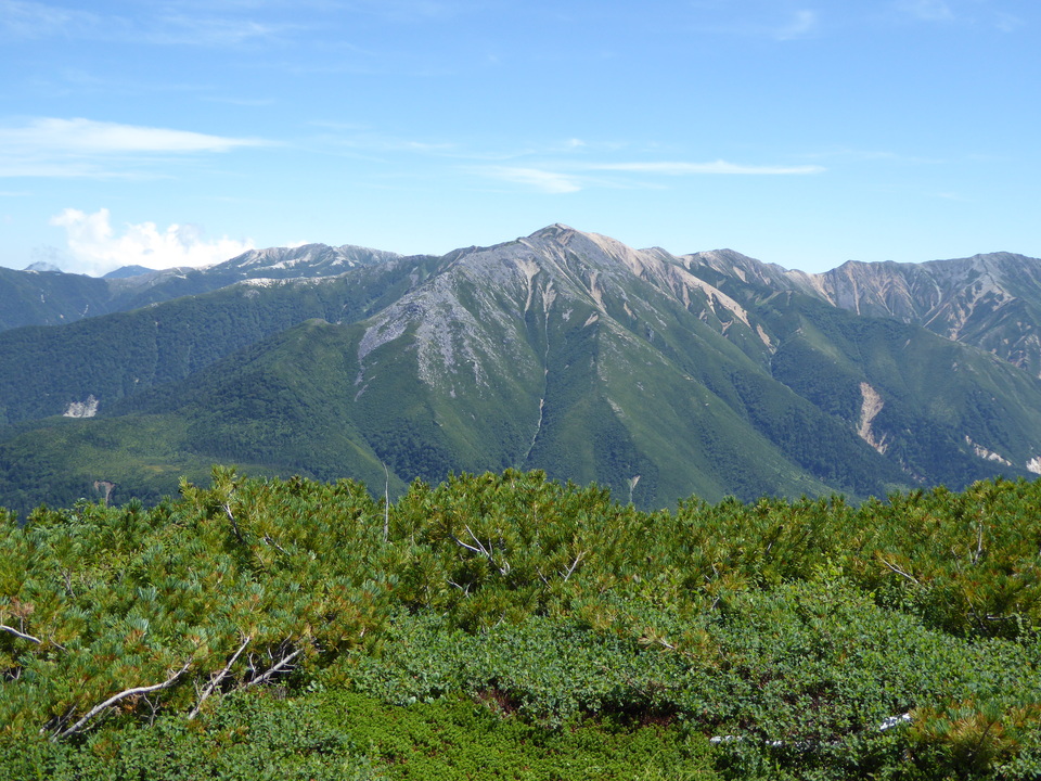 P1030021_mid.jpg
