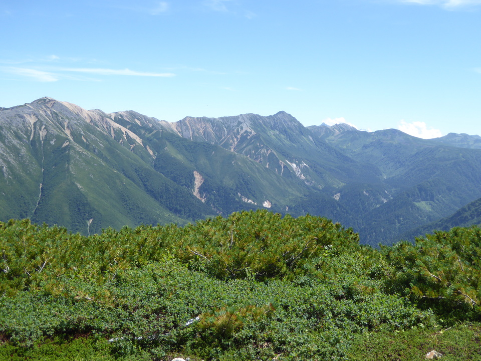 P1030022_mid.jpg