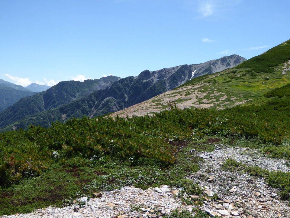 P1030023_mid.jpg