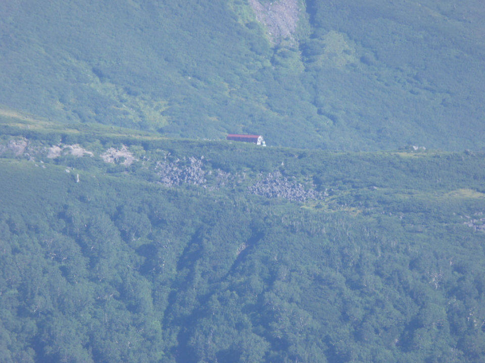P1030052_mid.jpg