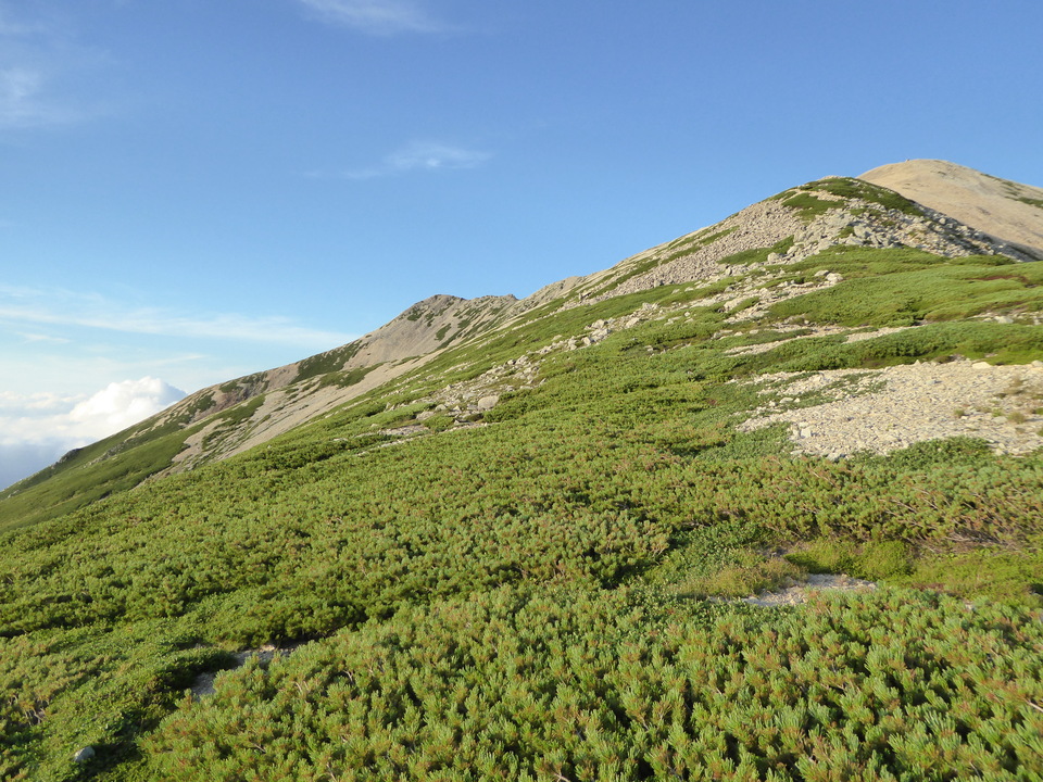 P1030060_mid.jpg