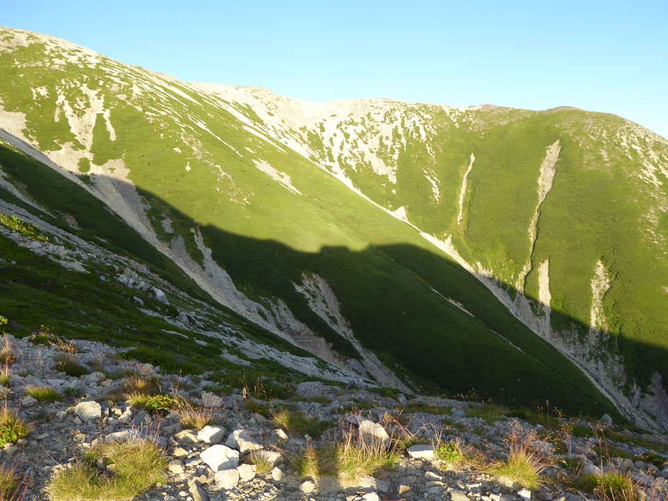P1030063_mid.jpg