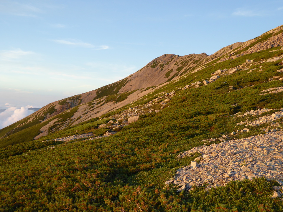P1030071_mid.jpg