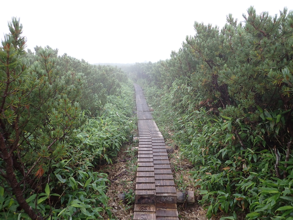 P8272799_mid.jpg