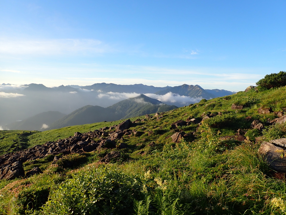 P8272816_mid.jpg