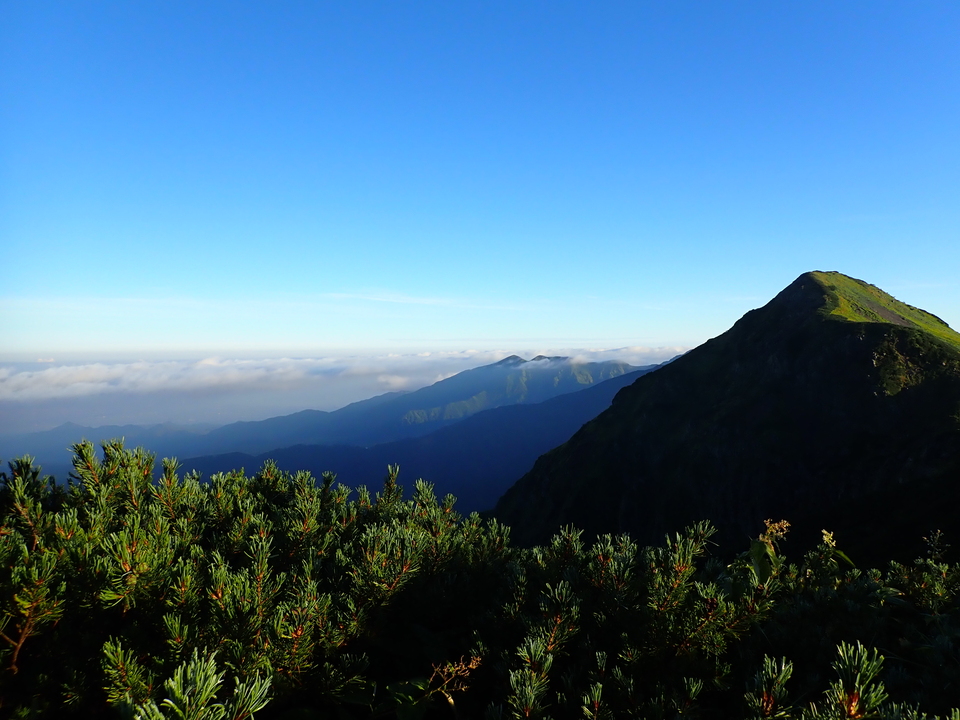 P8272820_mid.jpg