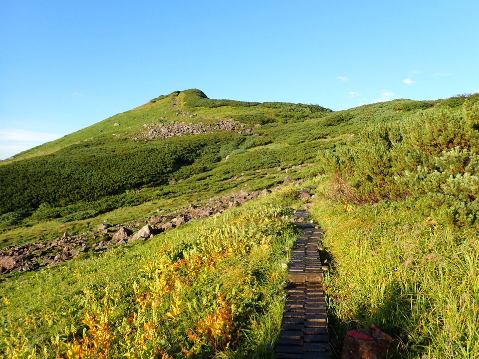 P8272822_mid.jpg