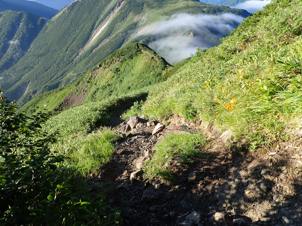 P8272848_mid.jpg