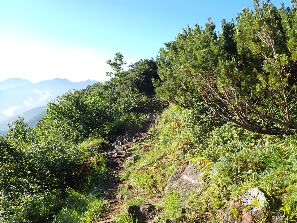 P8272856_mid.jpg